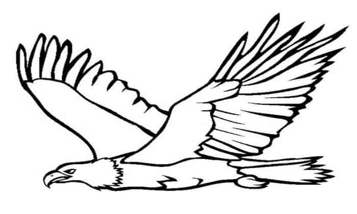 Eagle Coloring Pages Free Printable