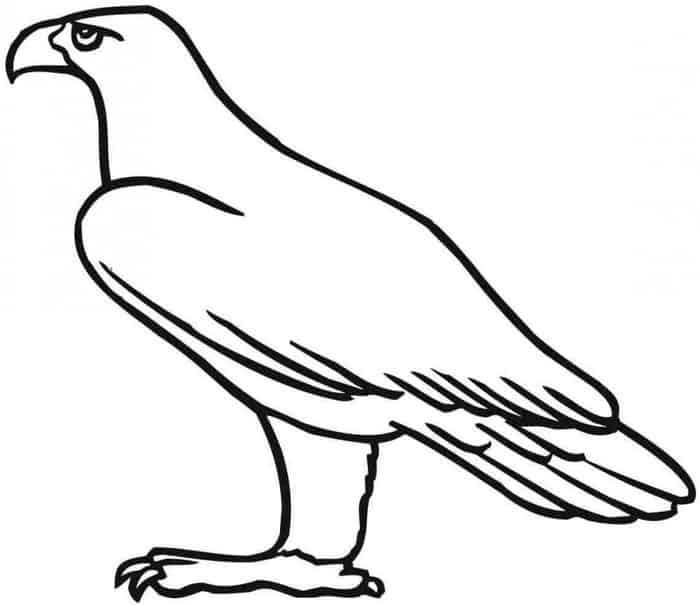 Eagle Coloring Pages To Print