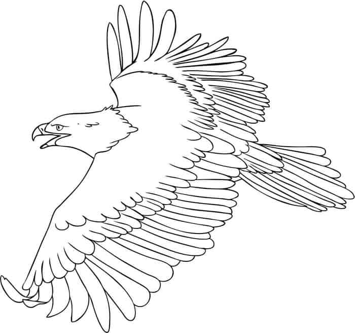 Eagle Feather Coloring Pages