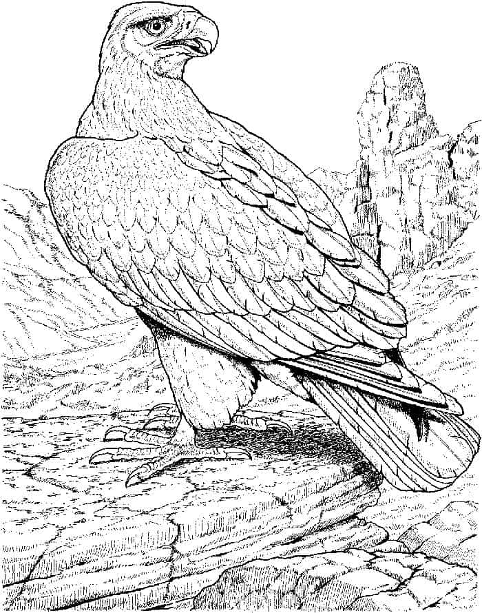 Eagle Mountain Coloring Pages