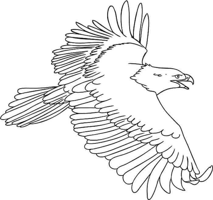 Eagle Printable Coloring Pages