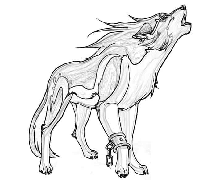 Fire Wolf Anime Wolves Coloring Pages