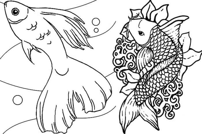Fish Adult Coloring Pages