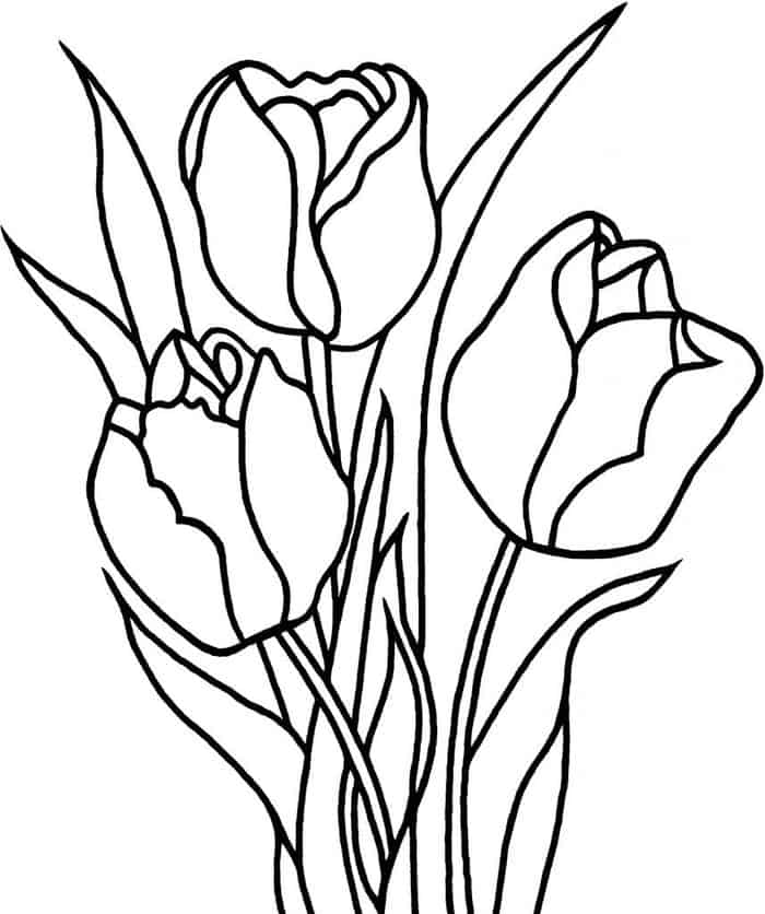 Flower Coloring Pages Tulip
