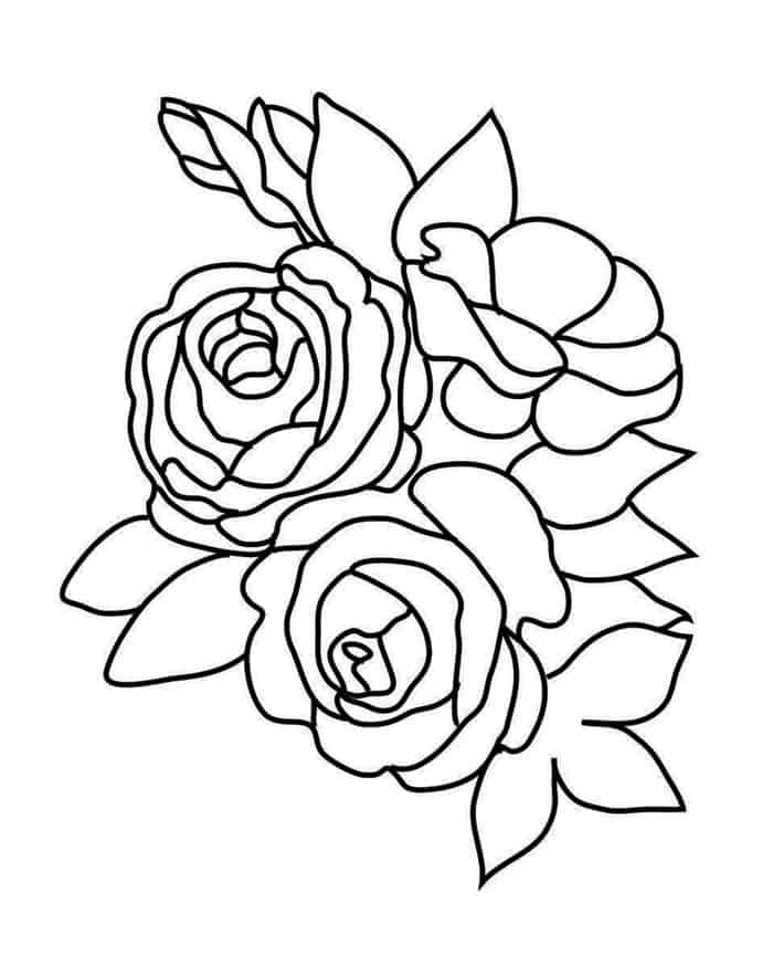 Flowers Coloring Pages Rose