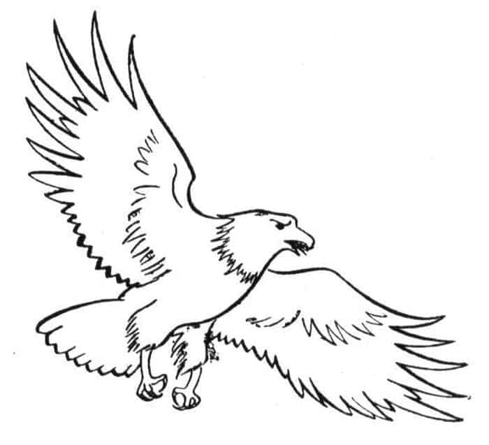 Flying Eagle Coloring Pages