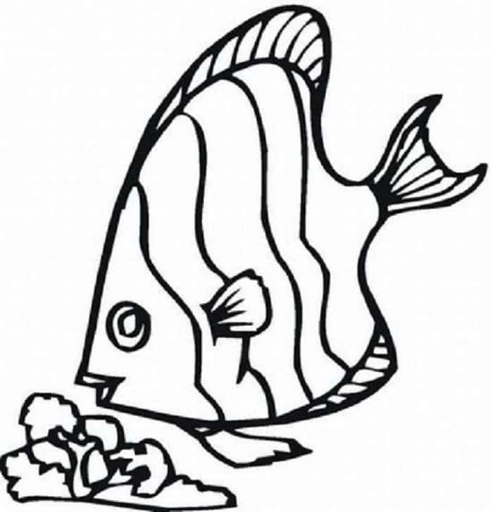 Free Coloring Pages Fish