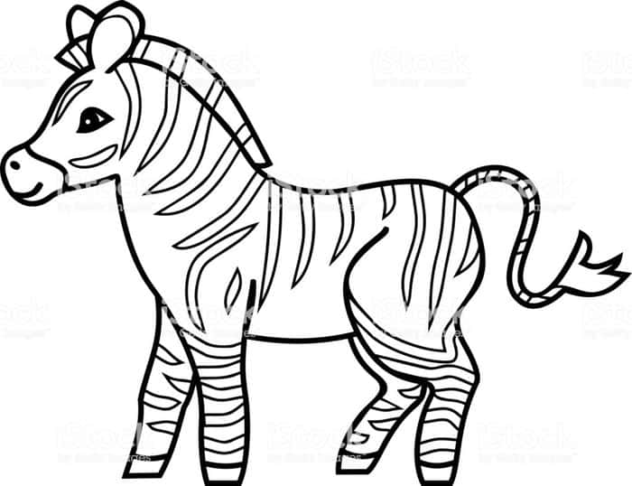 Free Coloring Pages Horse Zebra