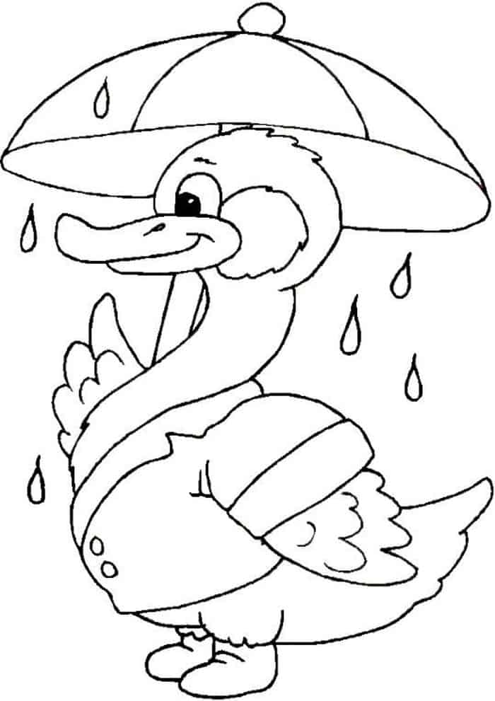 Free Duck Coloring Pages