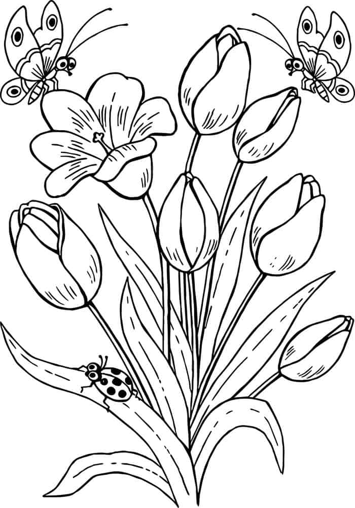 Free Printable Coloring Pages For Adults Advanced Flowers