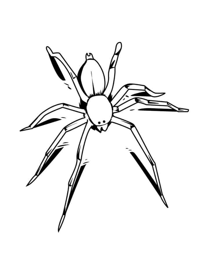 Free Spider Coloring Pages