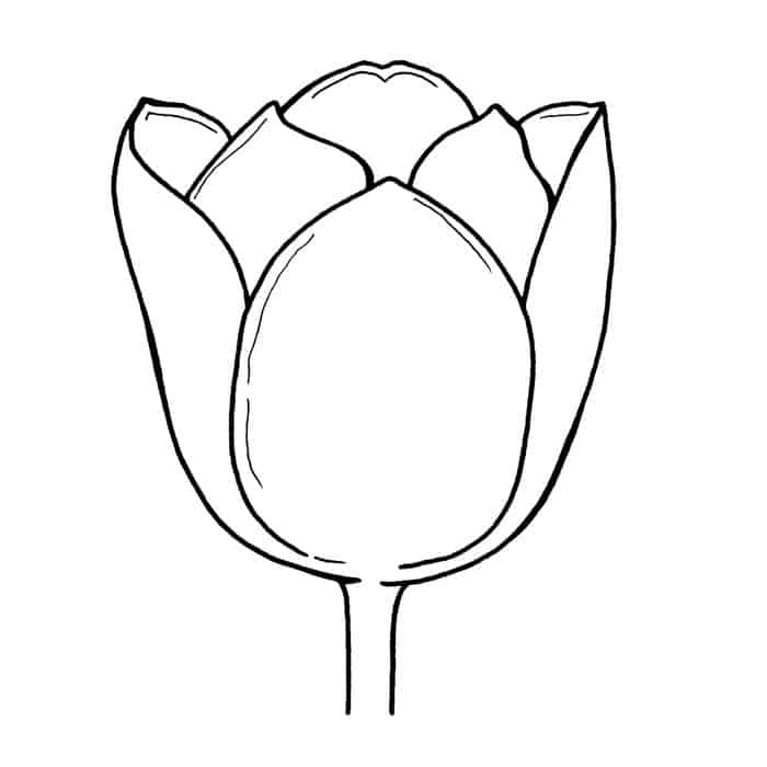 Free Tulip Coloring Pages