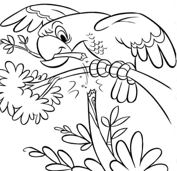Free Zoo Coloring Pages