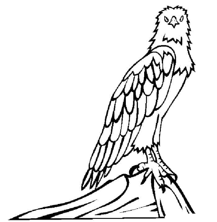 Get Well Free Eagle Coloring Pages For Adults