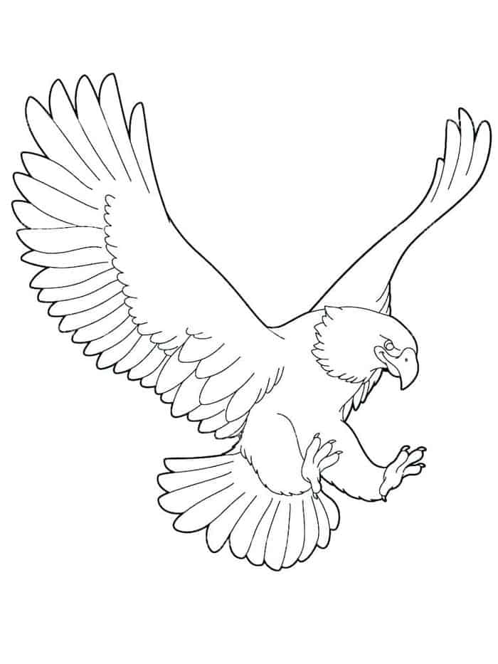 Golden Eagle Adult Coloring Pages