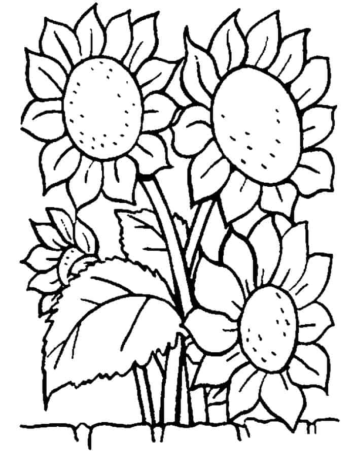 Hard Coloring Pages Of Flowers