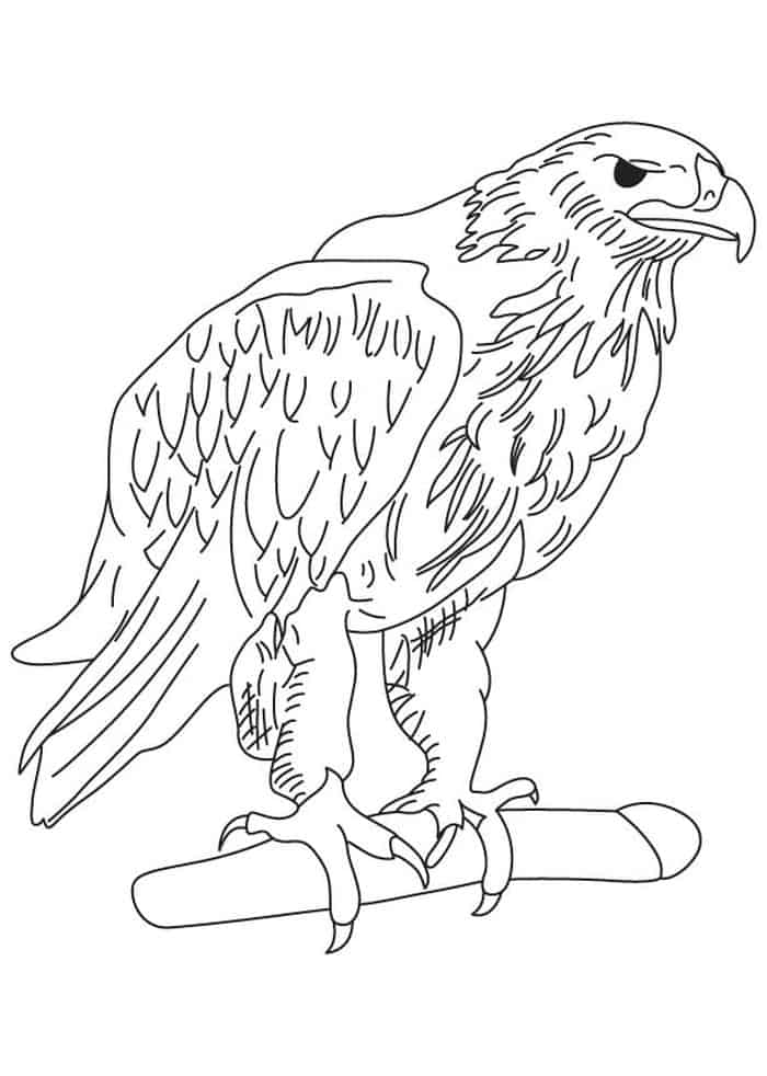 Hard Eagle Coloring Pages