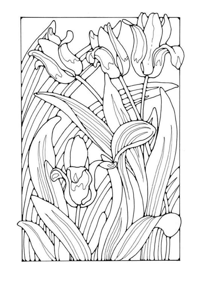 Hard Tulip Coloring Pages