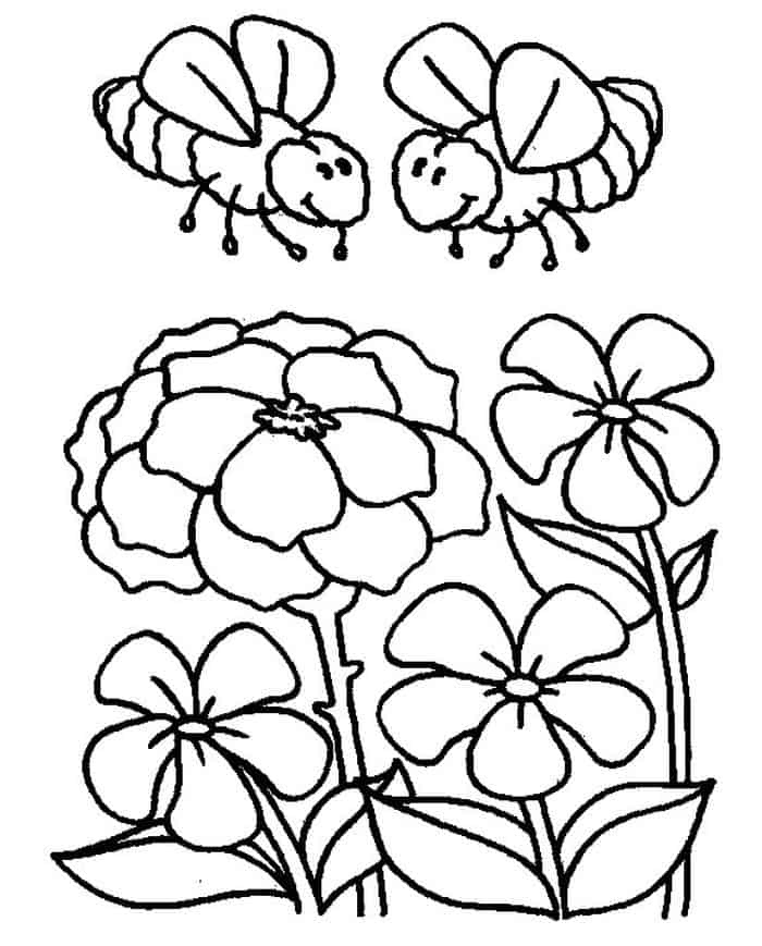 Honey Bee Coloring Pages For Kids