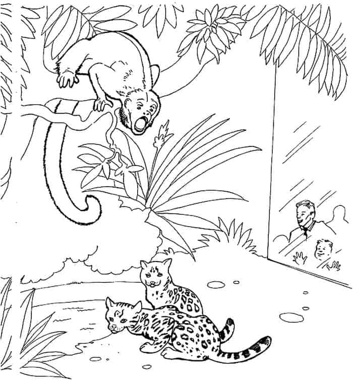 If I Ran The Zoo Coloring Pages