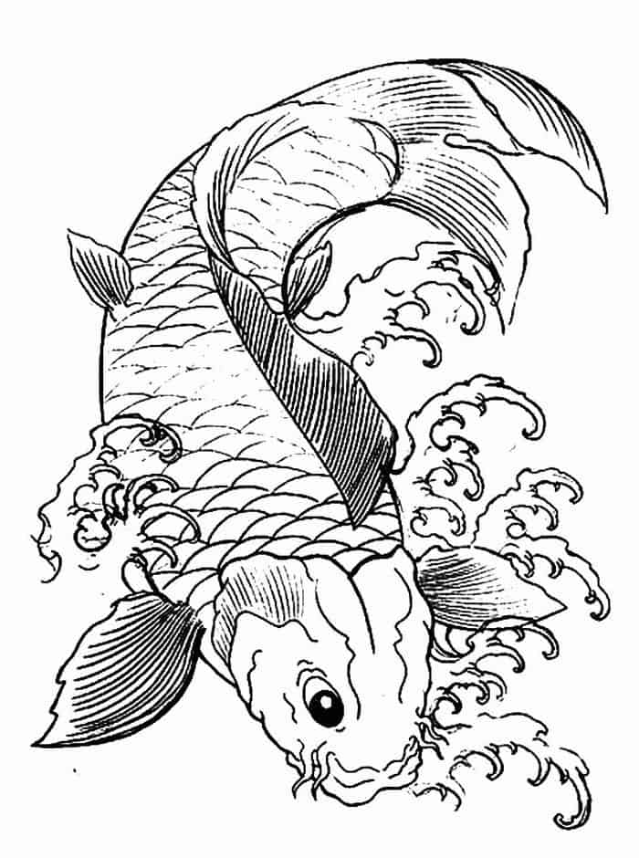 Koi Fish Coloring Pages