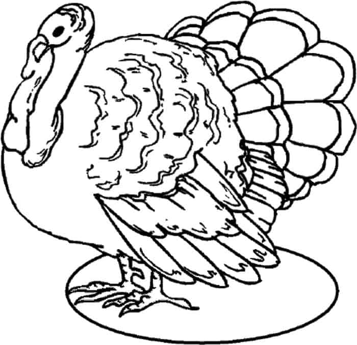 Large Turkey Coloring Pages
