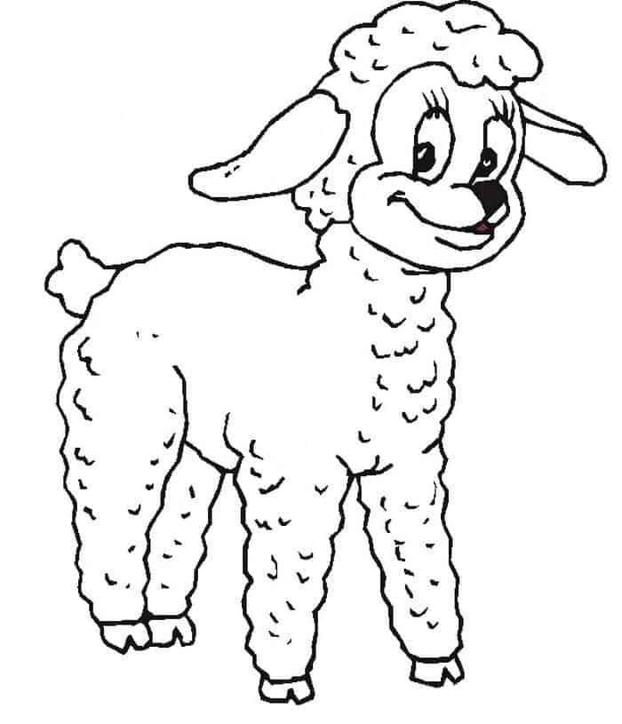 Long Horn Sheep Coloring Pages