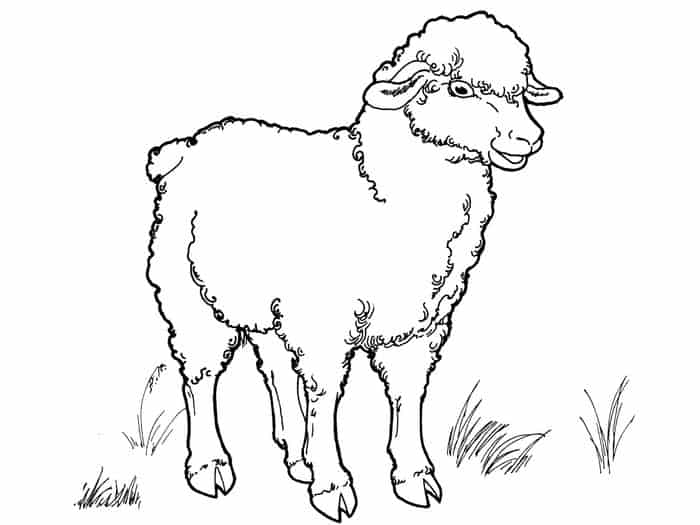 Lost Sheep Coloring Pages Free