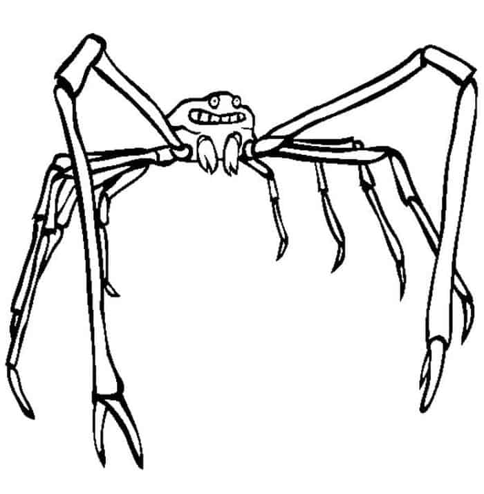 Octonauts Coloring Pages Spider Crab