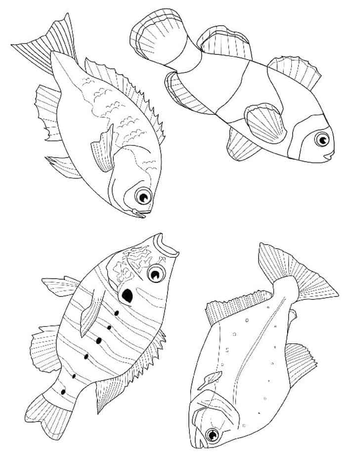 One Fish Two Fish Coloring Pages