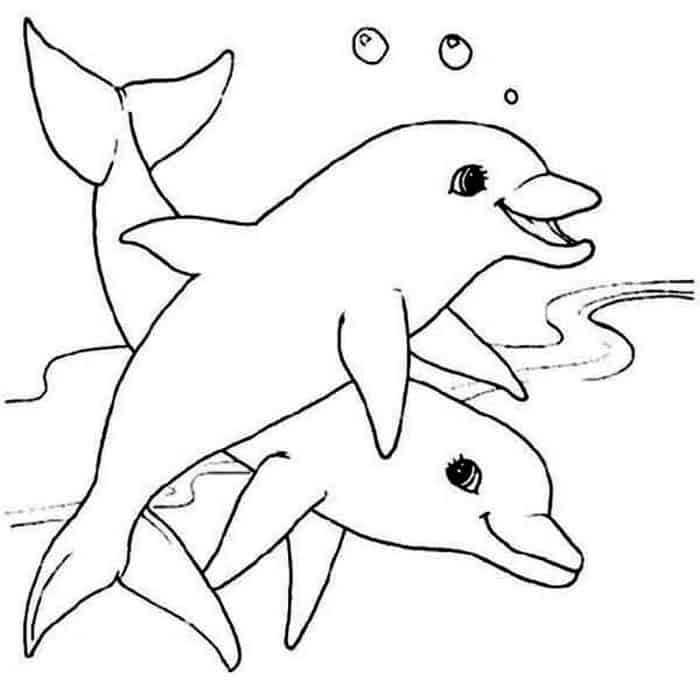 Pink Dolphin Coloring Pages
