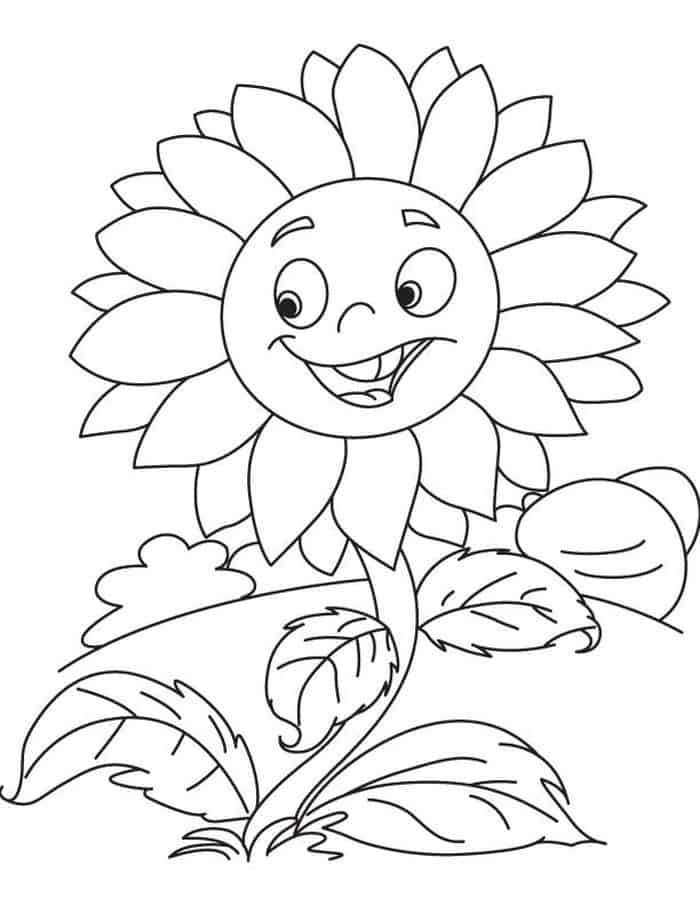 Plants Vs Zombies Coloring Pages Sunflower Famiely