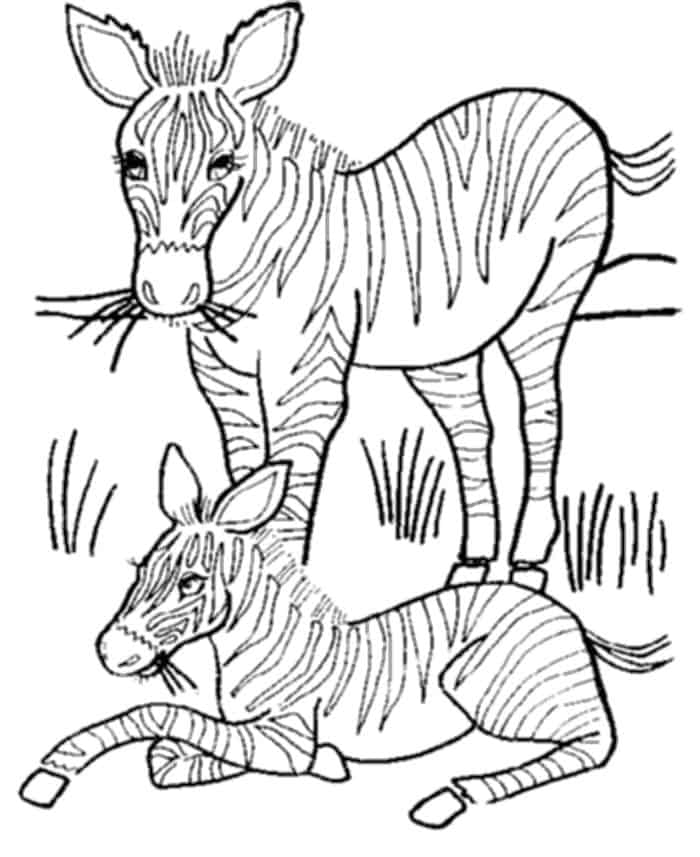 Precious Moments Baby Zebra Coloring Pages
