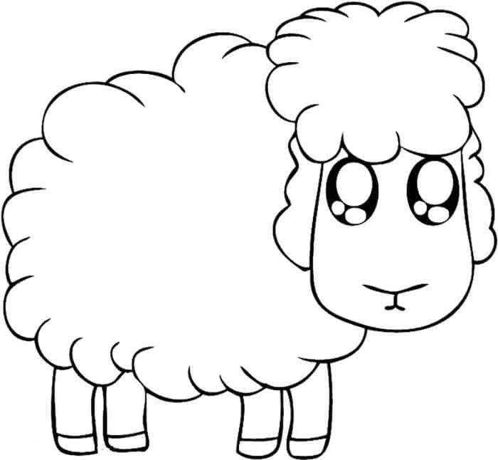 Preschool Coloring Pages Sheep