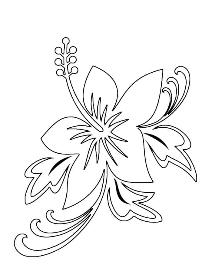 Printable Adult Coloring Pages Flowers