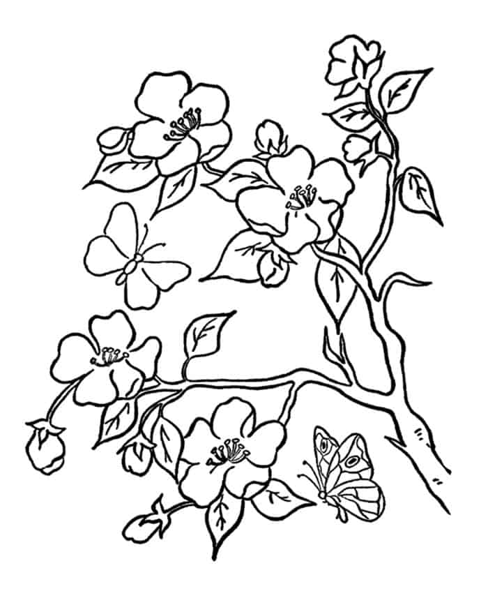 Printable Coloring Pages For Adults Flowers