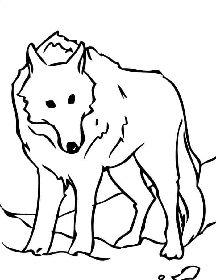 Printable Coloring Pages Wolves