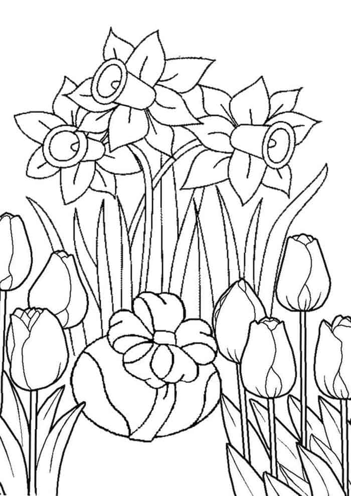 Printable Daffodil And Tulip Coloring Pages
