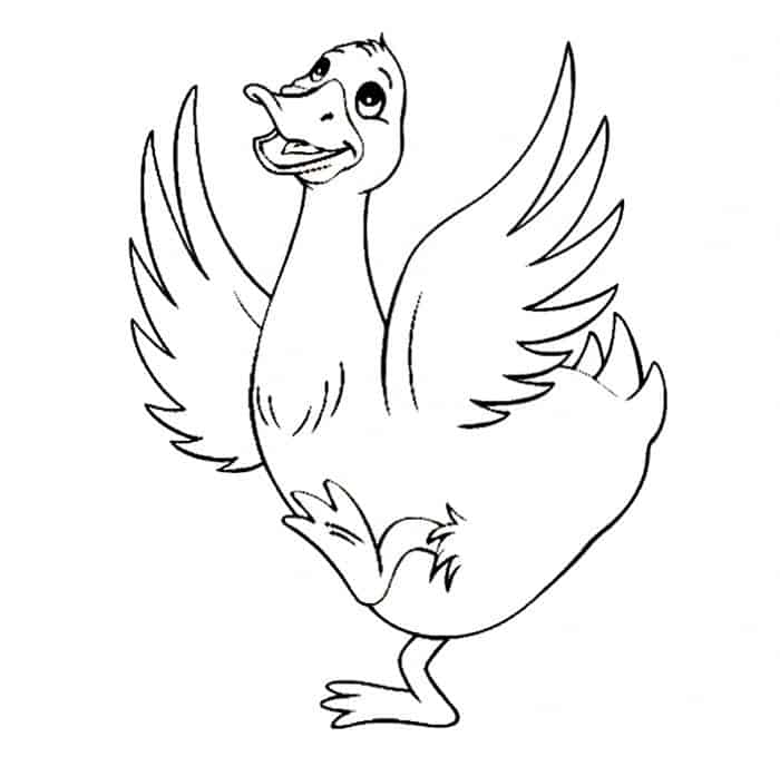 Printable Duck Coloring Pages