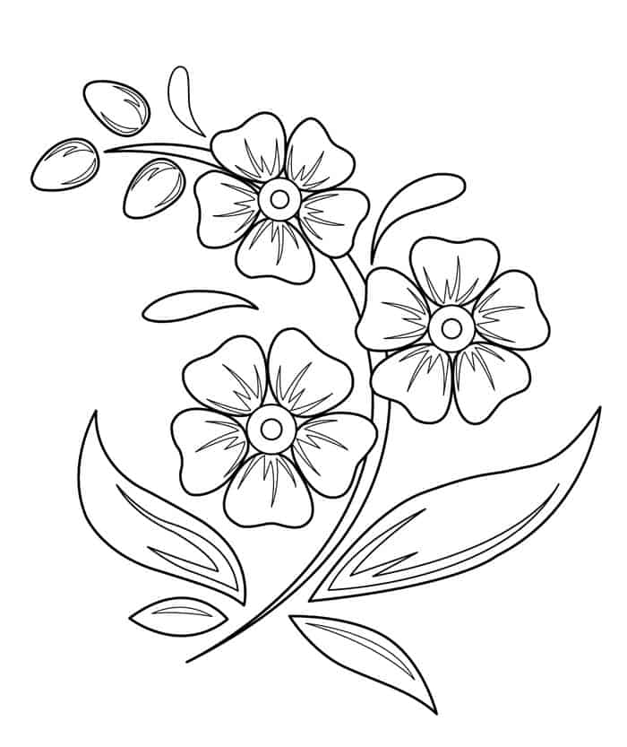 Printable Flowers Coloring Pages