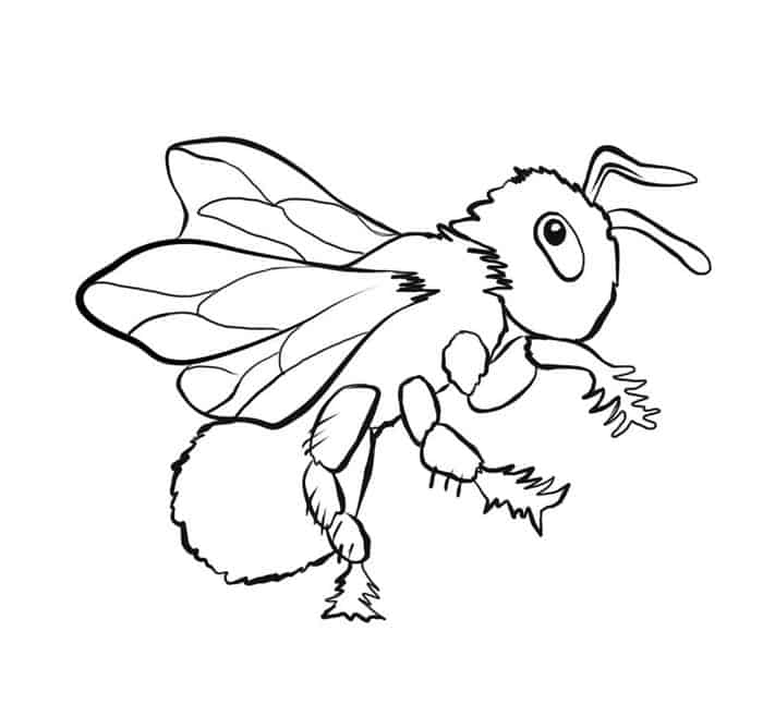 Real Bee Coloring Pages