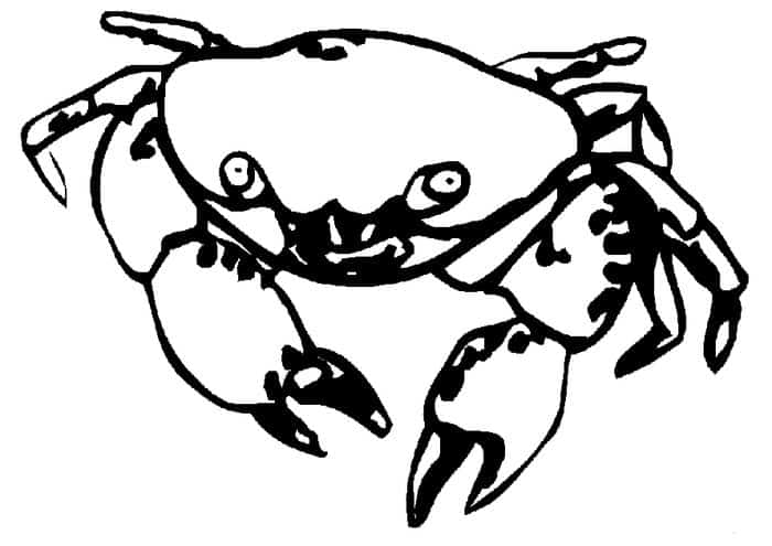 Realistic Crab Coloring Pages