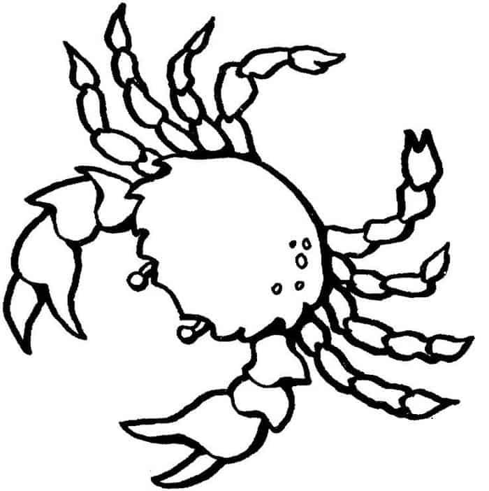 Red Crab Coloring Pages Free