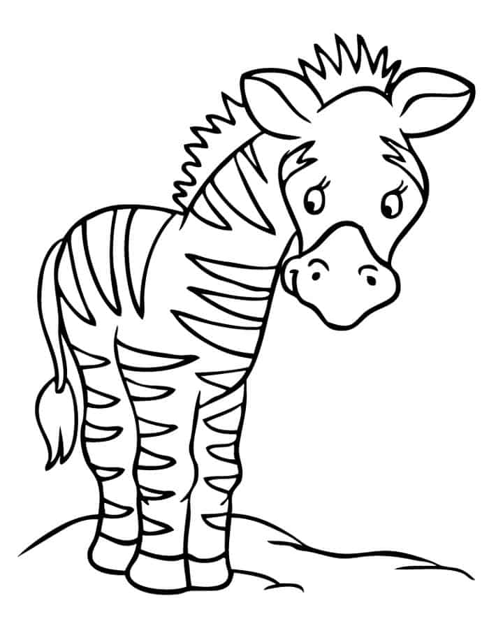 Rodeo Stampede Zebra Coloring Pages