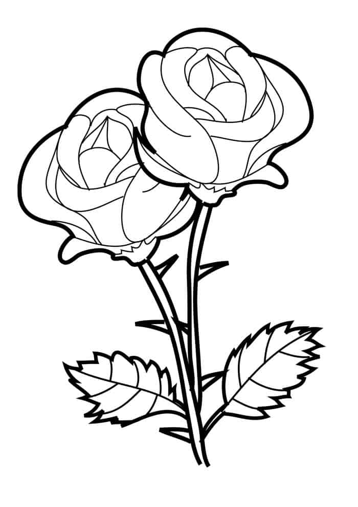 Rose Coloring Pages For Girls