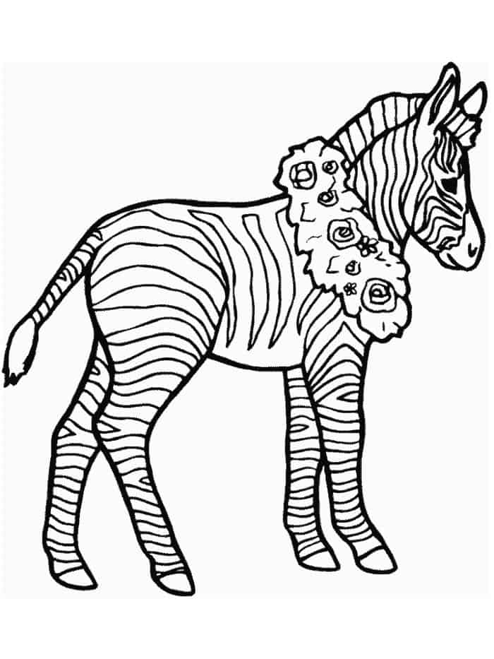 Saddle Zebra Coloring Pages