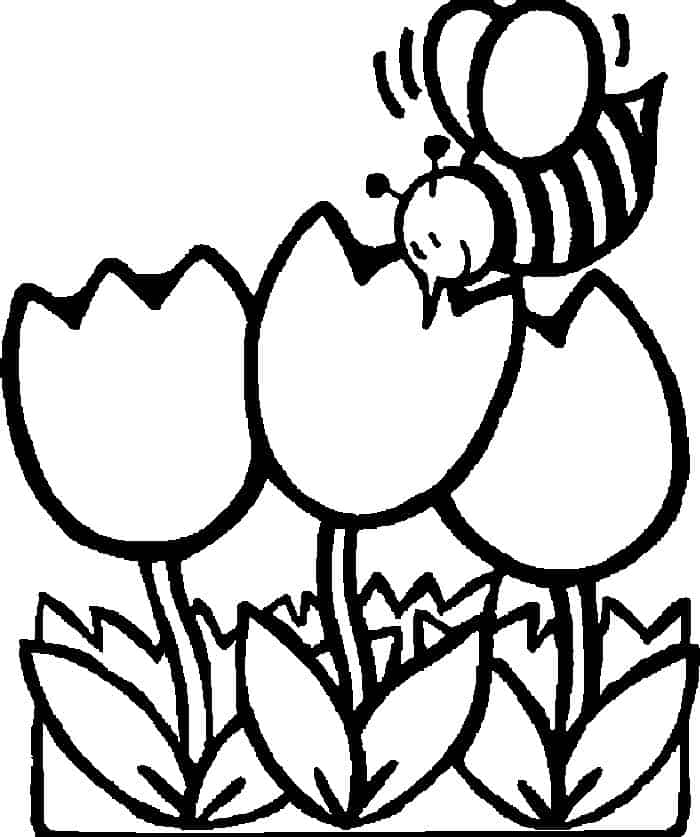 Science Coloring Pages For Kids Bee