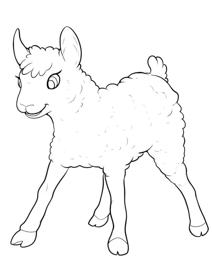 Sheep Animal Coloring Pages