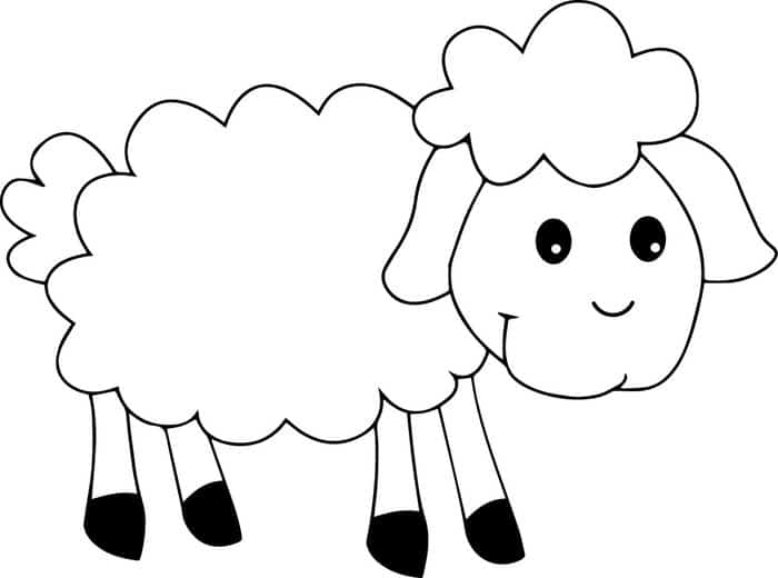 Sheep Coloring Pages Preschool