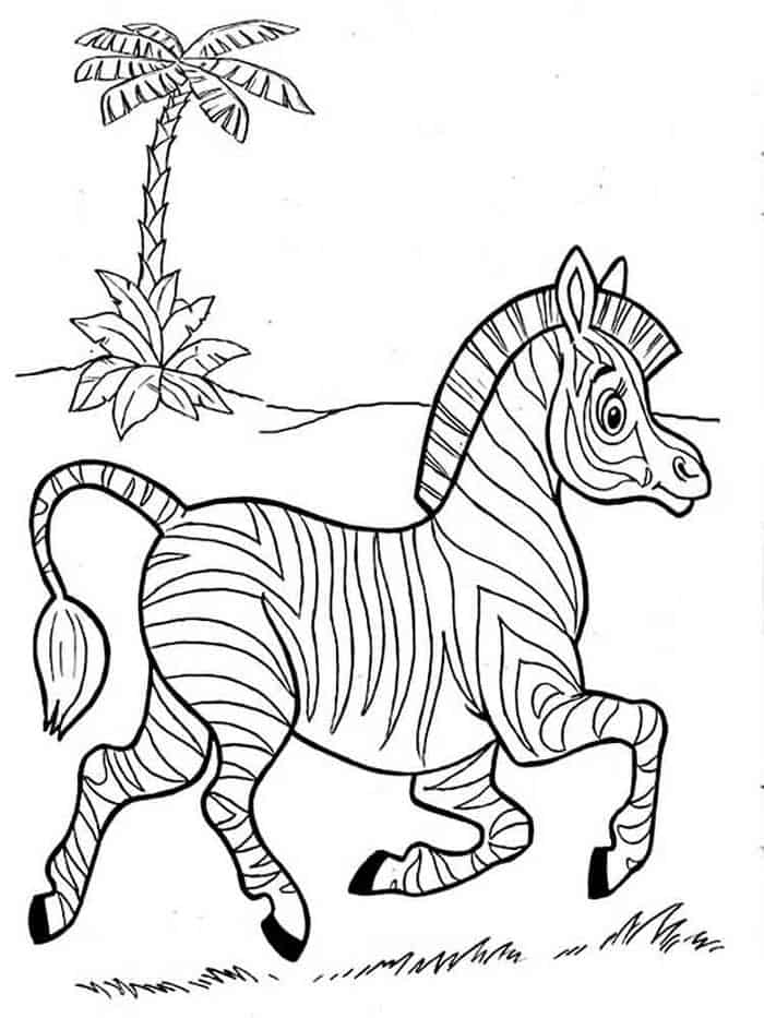 Simple Zebra Coloring Pages